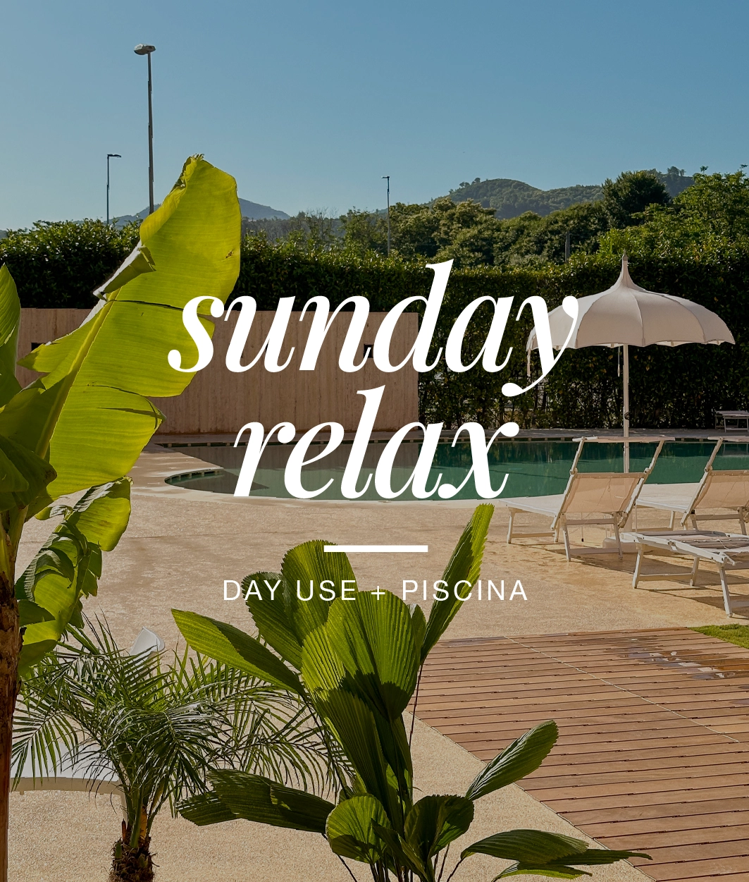 Sunday Relax